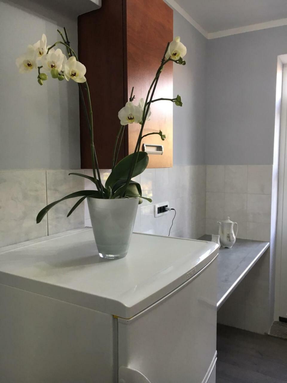 Apartment Kumicic - 3 Bedrooms Ičići Eksteriør bilde
